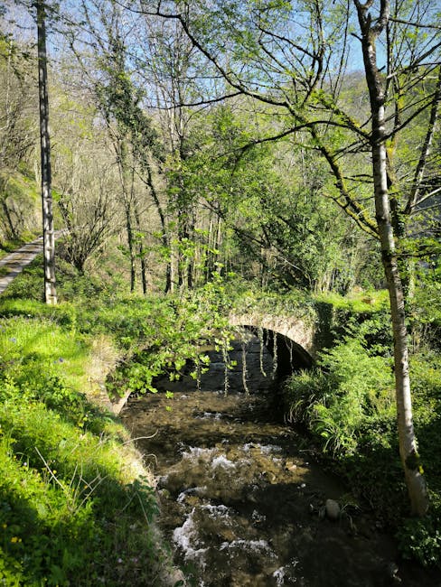 A narrow stone bridge with a single arch spans a small, gently flowing stream surrounded by lush greenery and tall, slender trees with light-colored bark. The trees have fresh green leaves, indicating spring or early summer, and cast dappled shadows onto the water and foliage below. The stream's water is clear, with visible ripples and small white foam patches as it moves over rocks and pebbles. To the left, a wooden footpath runs alongside the stream, bordered by grass and small plants. The scene is illuminated by natural daylight, creating a peaceful and shaded environment within a woodland area, which could be part of a rural or suburban landscape related to house removals or home relocation services.