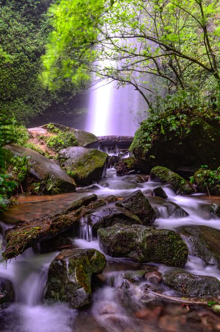 The image depicts a narrow river flowing through a dense woodland area, with tall trees on both sides creating a canopy of green leaves. The water is dark and slightly rippled, reflecting the overcast